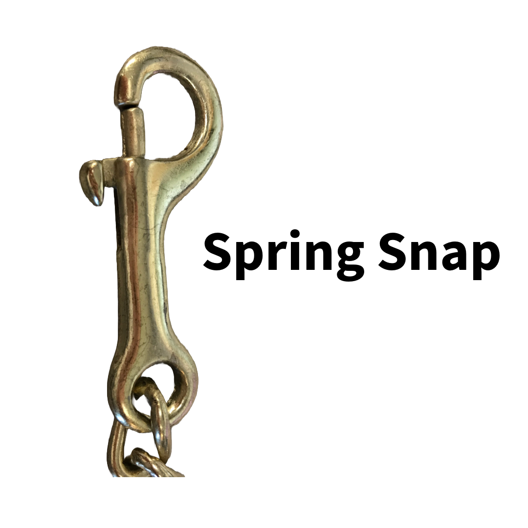 Derby Originals 10' Braided Cotton Lead Rope with 2' Stud Chain