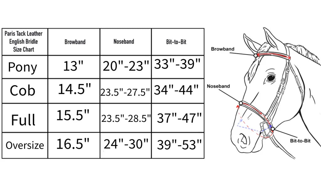 PARIS TACK OPULENT SERIES RAISED FANCY STITCHED LEATHER ENGLISH SCHOOLING BRIDLE WITH LACED REINS USA LEATHER AND SIZECHART
