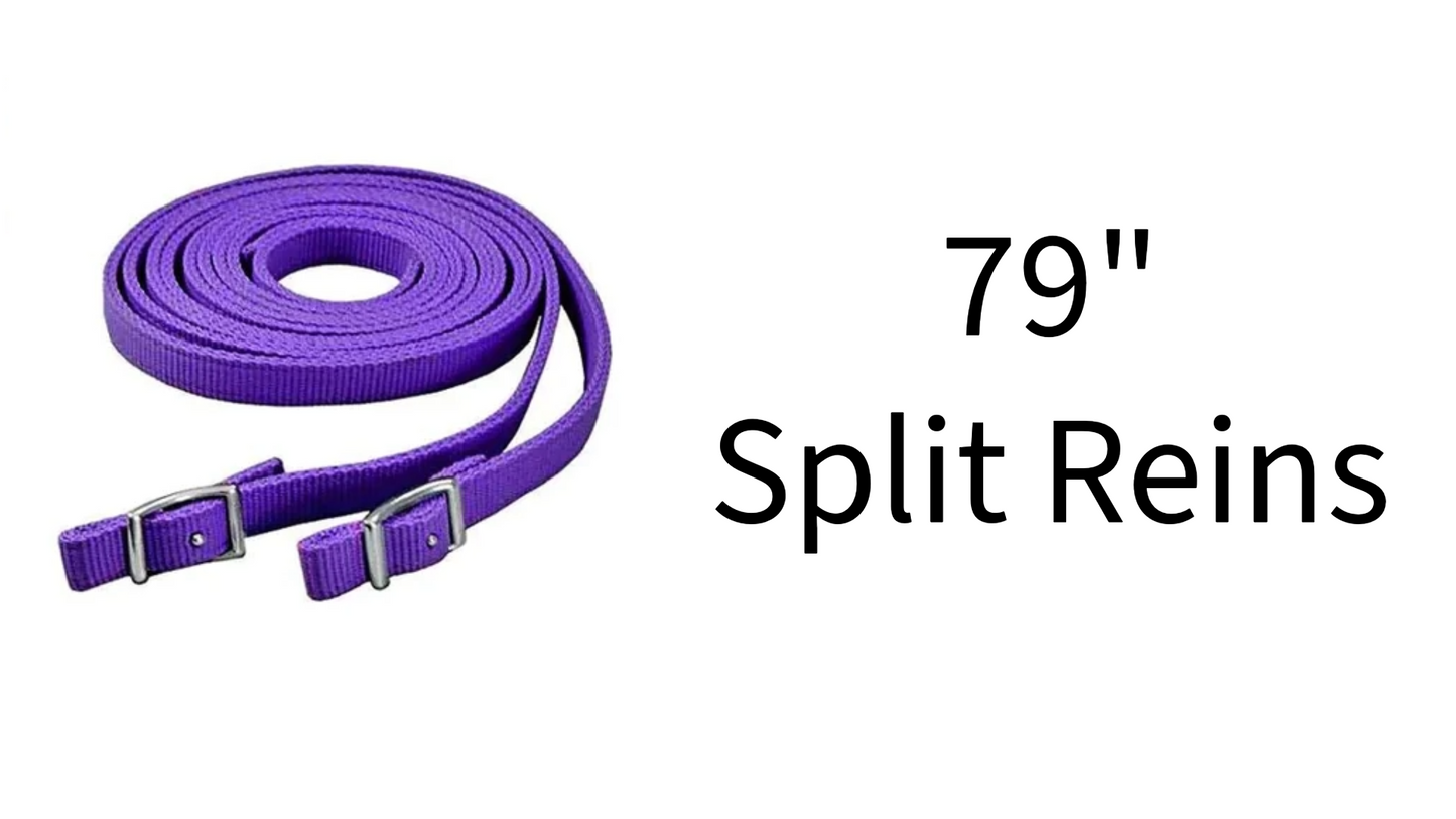 Tahoe Tack Double Layered Nylon Western Headstall with Matching Reins splitreins