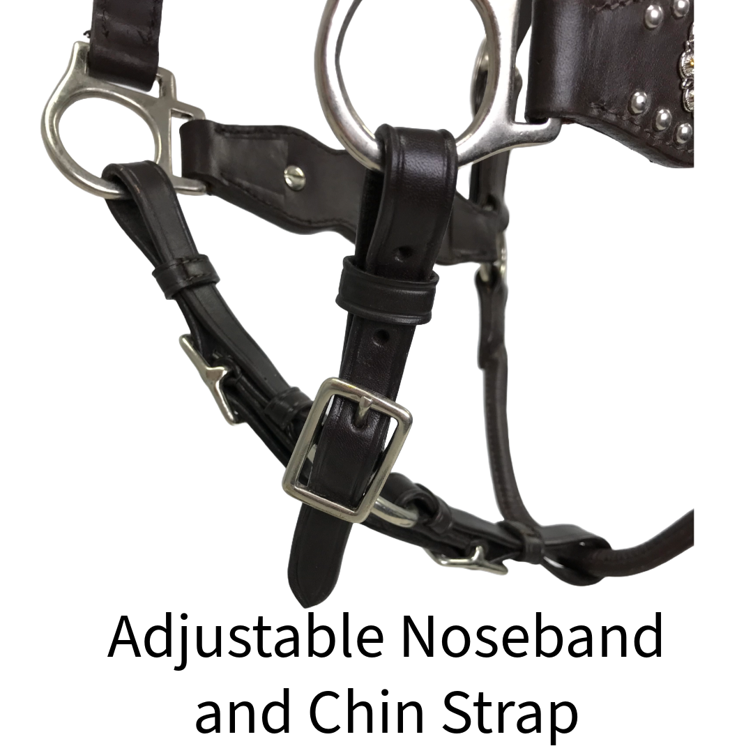 CONCHO HALTER WITH SPOTS AND ADJUSTABLE NOSE AND CHIN STRAPS -USA LEATHER