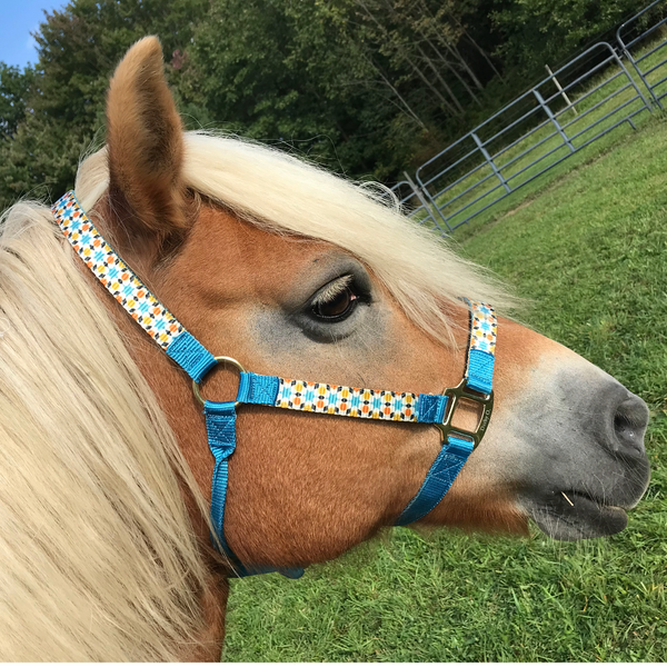 Derby Originals Patterned Nylon Adjustable Horse Halters with Matching 10’ Lead - 6 Month Warranty