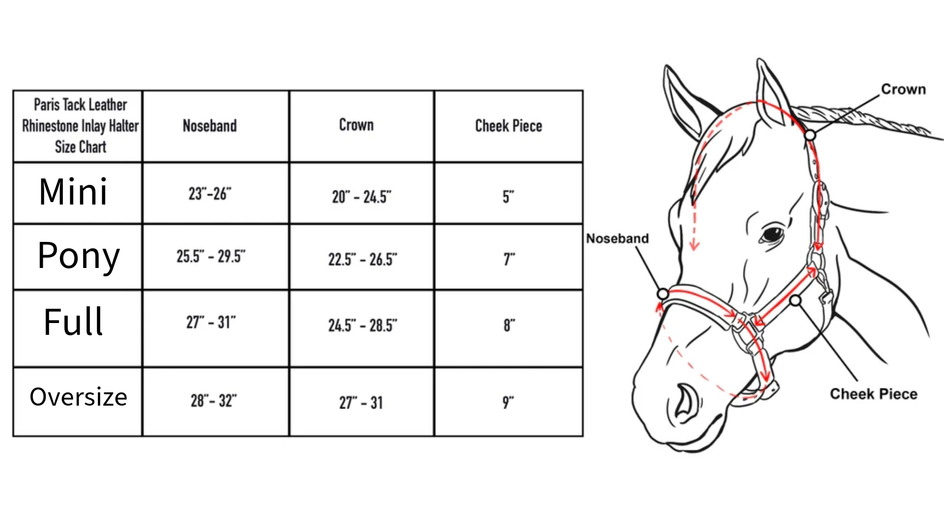 Paris Tack American Elite Series USA Leather Rhinestone Inlay Padded Halter Size chart