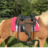 files/60-1317-pink-on-horse.png