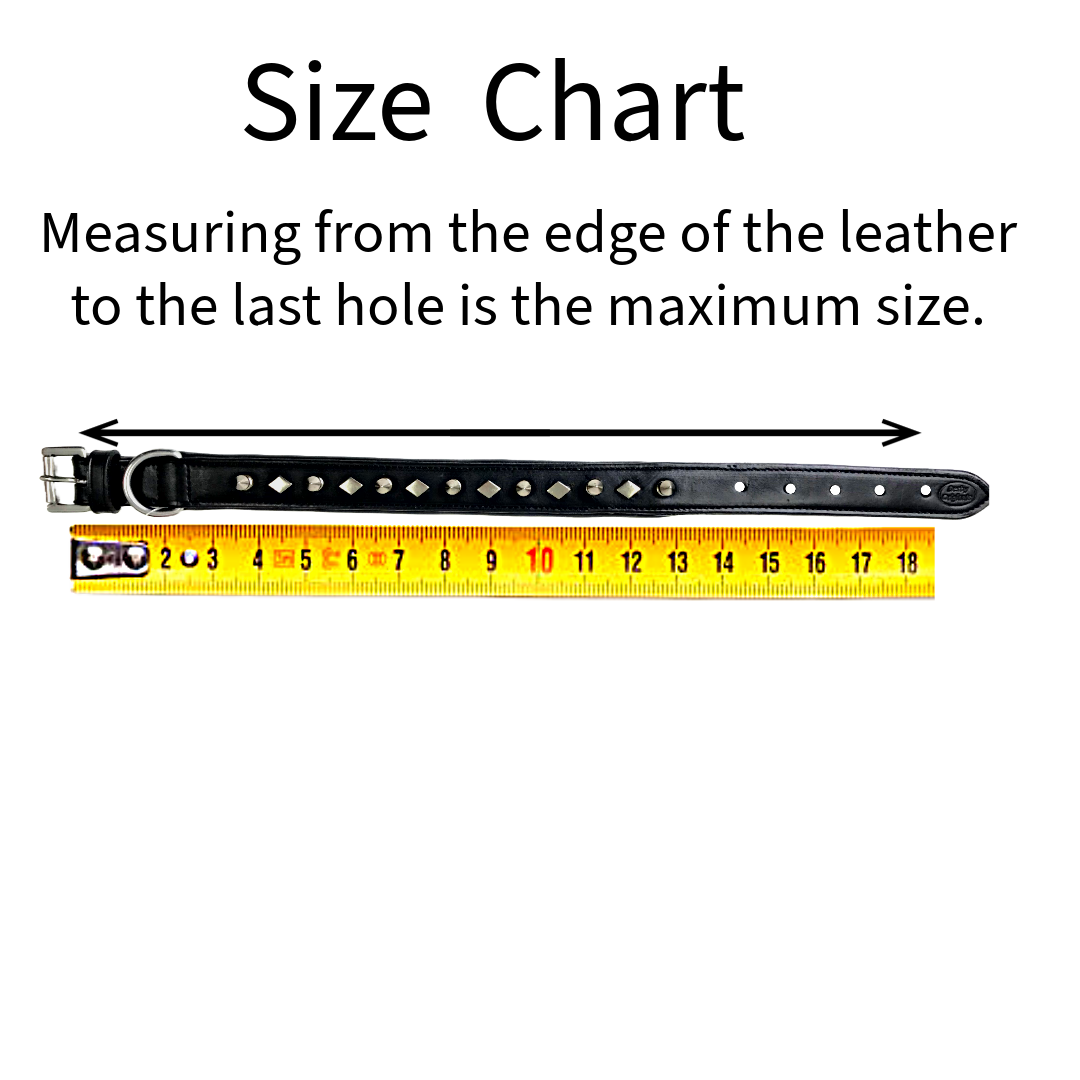 Derby Dog Designer Series USA Leather Spikes and Diamond Padded Dog Collar with Stainless Steel Rolled Buckle for Comfort Measurement