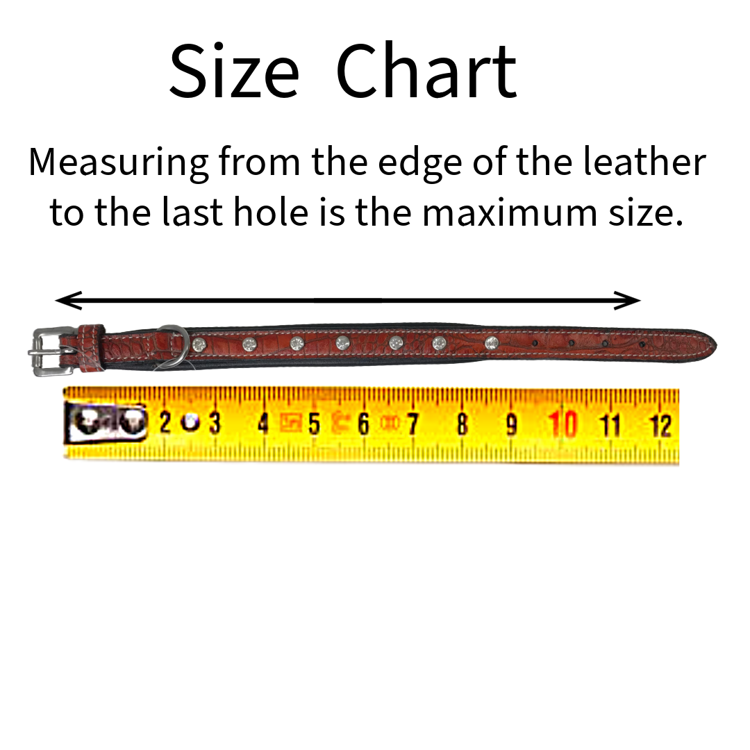 Derby Dog Designer Series USA Leather Padded Alligator With Crystals Dog Collar with Stainless Steel Rolled Buckle for Comfort Size Chart