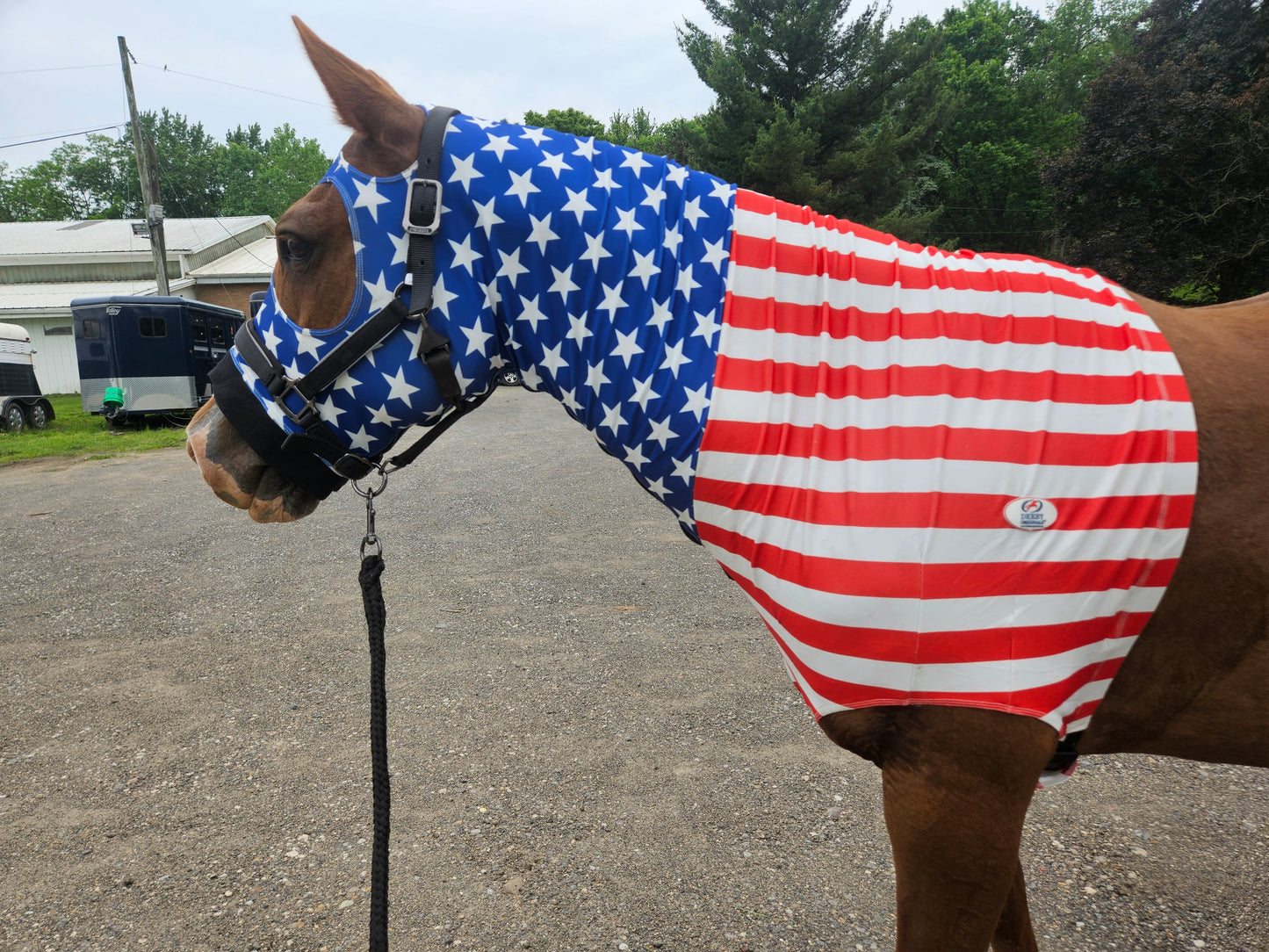 Derby Originals Stars & Stripes Lycra Horse Sleazy Hood with Zipper, Fleece Noseband, Belly Strap – Stretch Neck Cover for Average Horses, Great for Shows & Parades.