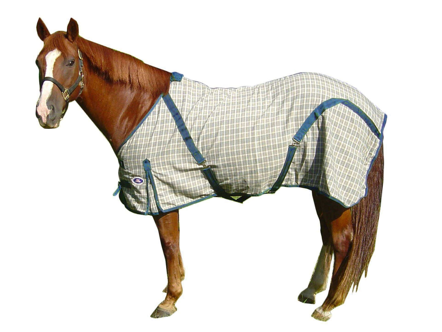 Derby Originals Classic Woven Cotton Navy Beige Plaid Horse Summer Sheet