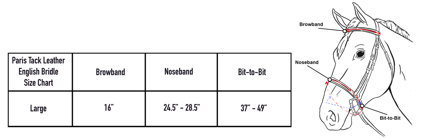 Paris Tack Everyday Raised Leather English Schooling Bridle with Laced Reins Size Charts