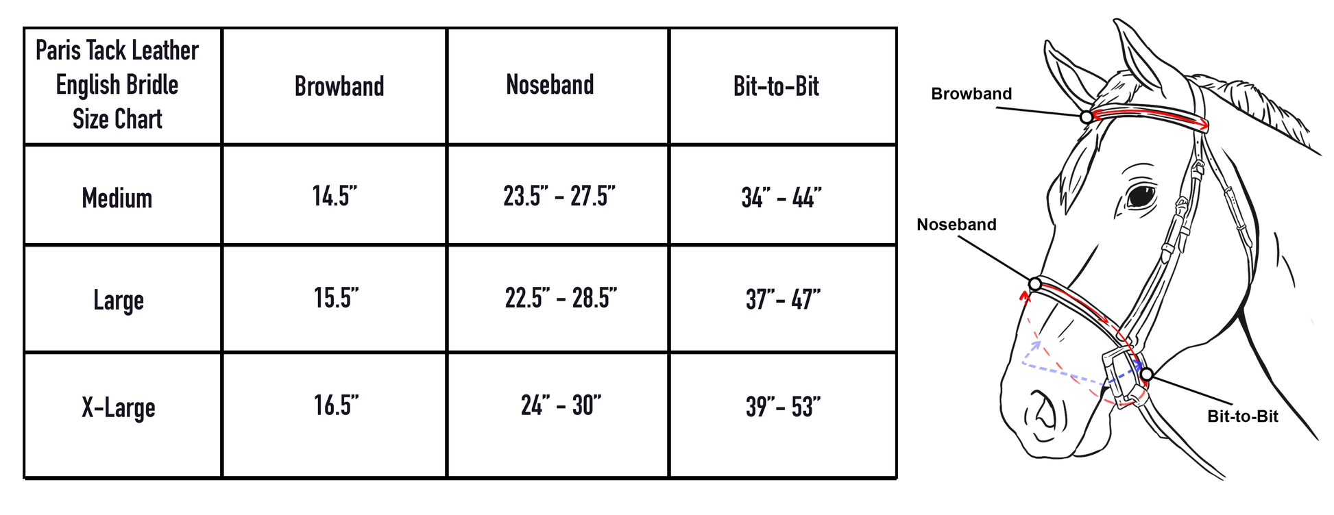 Paris Tack Raised Fancy Stitch Leather English Schooling Bridle with Laced Reins size chart