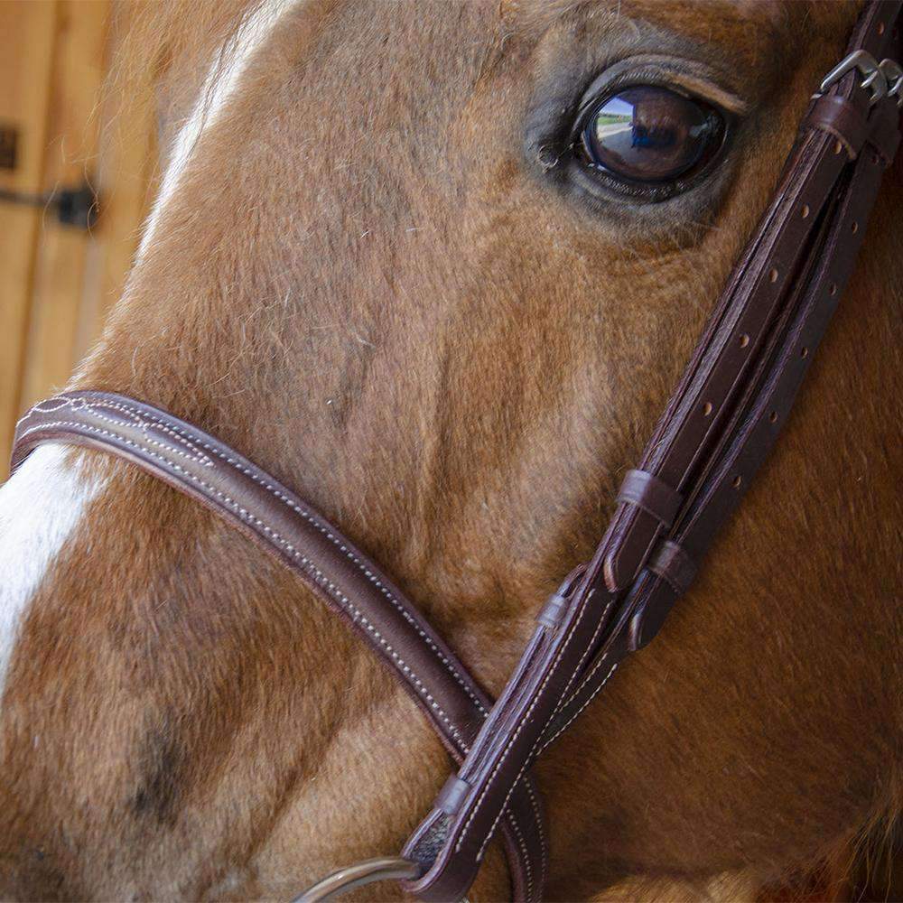 Paris Tack Raised Fancy Stitch Leather English Schooling Bridle with Laced Reins Lifestyle