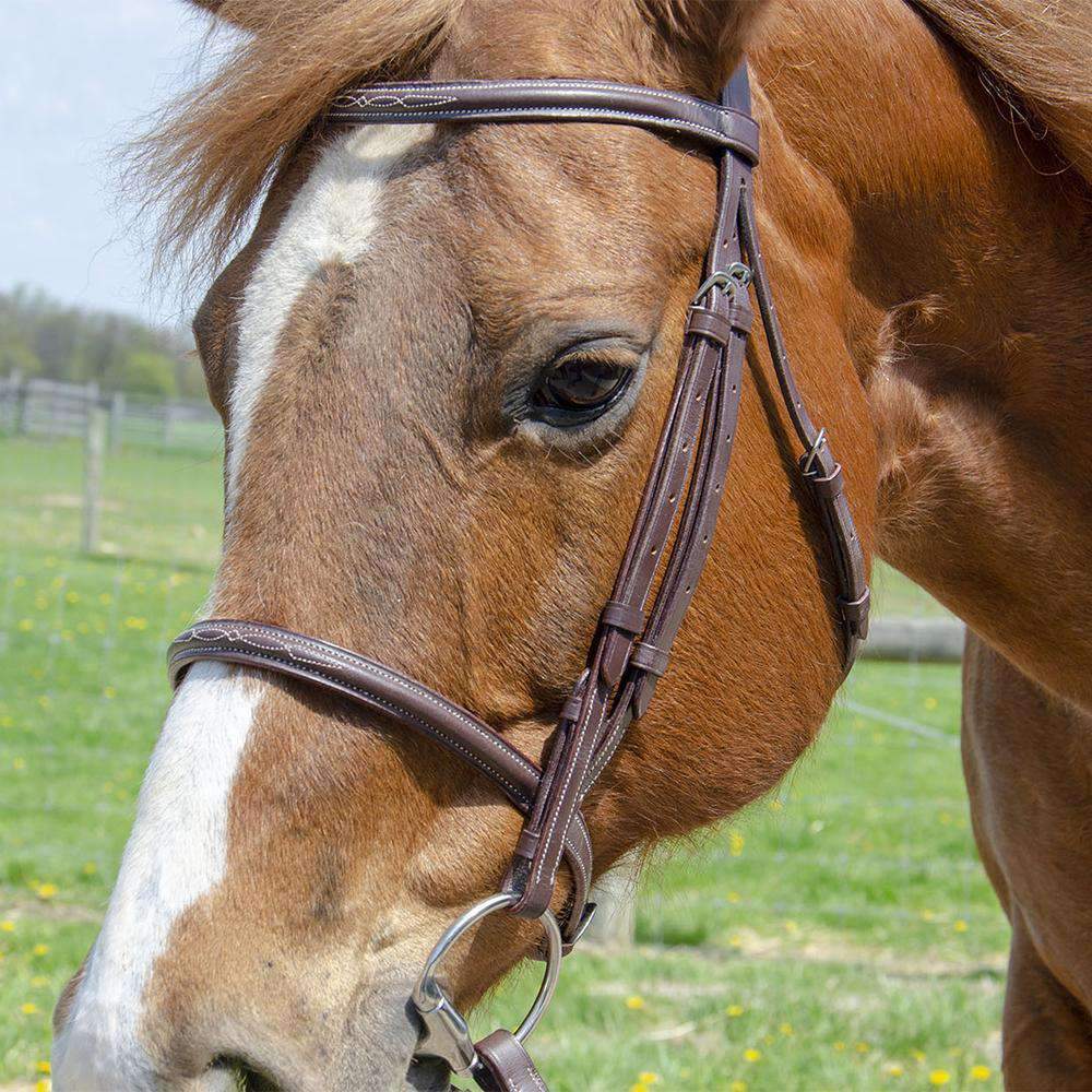 Paris Tack Raised Fancy Stitch Leather English Schooling Bridle with Laced Reins