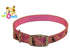 products/1920_Design_20Collars_20Pink_97-6201.jpg