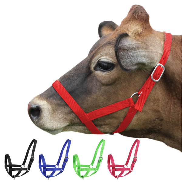 Derby Originals Adjustable Nylon Livestock Cattle Halters