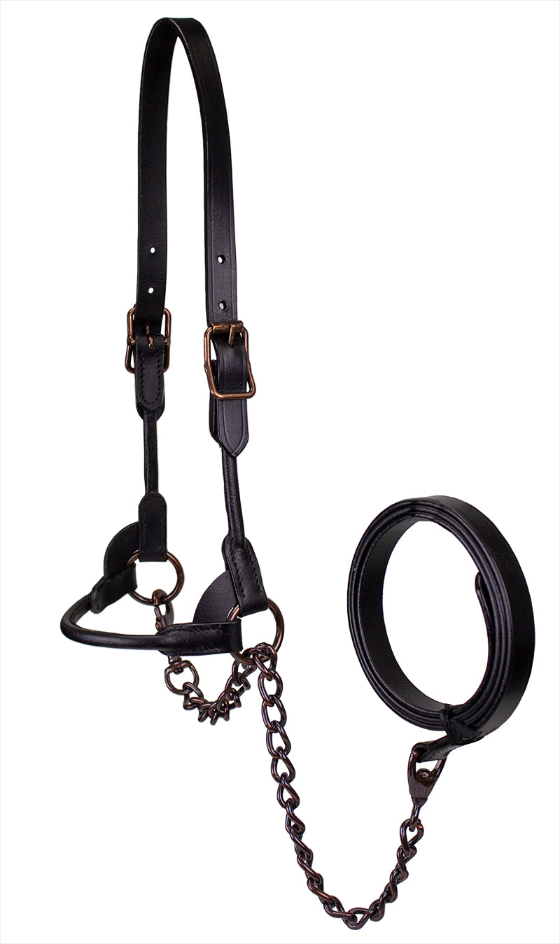 Originals Bronze Beauty Premium Round Rolled Leather Cattle Show Halter