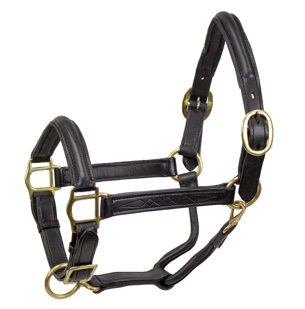 American Elite Fancy Stitch Padded Adjustable Halters Black