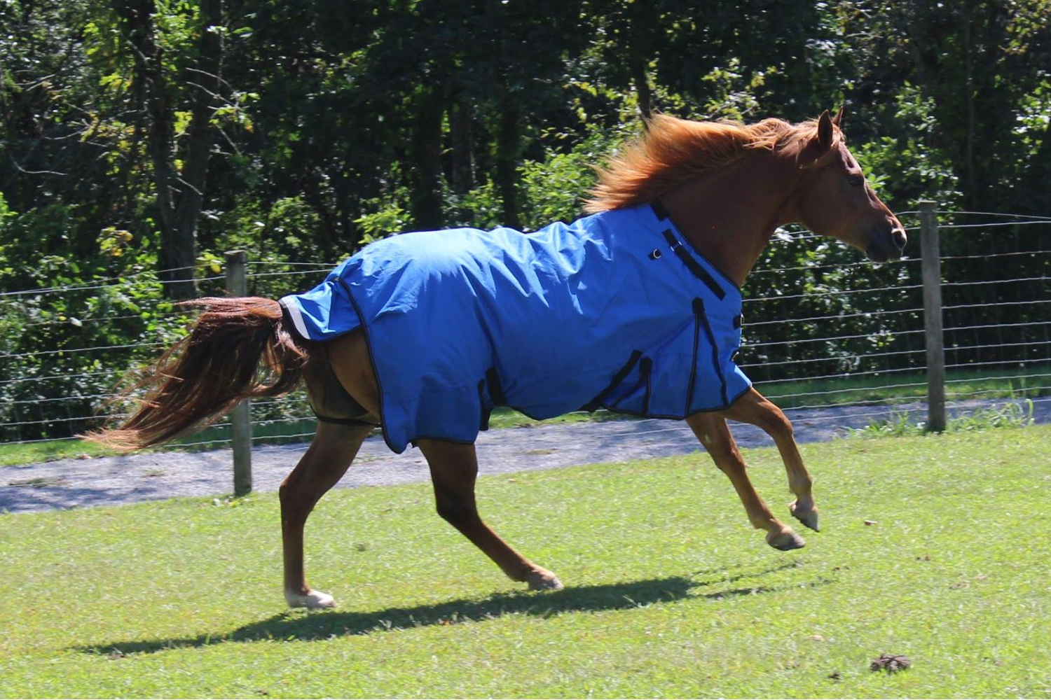 Derby Originals Nordic Tough 1200D Ripstop Waterproof Reflective Winter Horse Turnout Blanket Blue