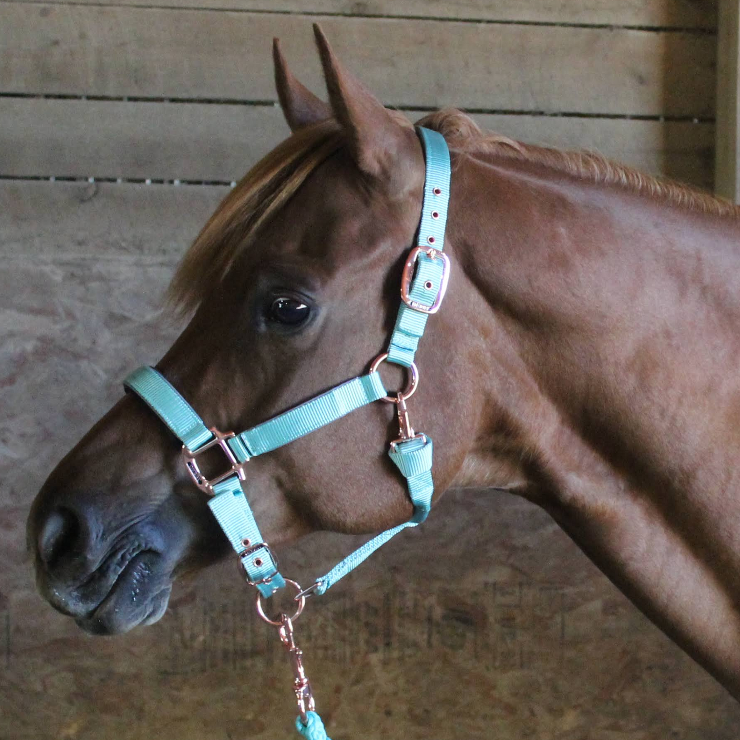 Derby Originals Reflective Safety Stable Horse Halters