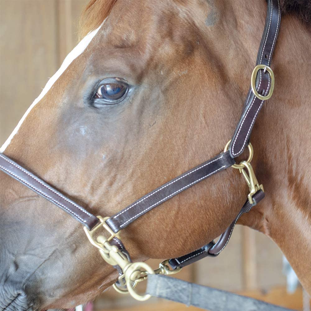 Derby Originals American Elegance Series - Convertible Double Stitch Leather Grooming Full Horse Halter - USA Leather Side View