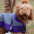 products/7Dog_Coat_Neck_Hood_Lifestyle_Park_Standing_80-8127.png