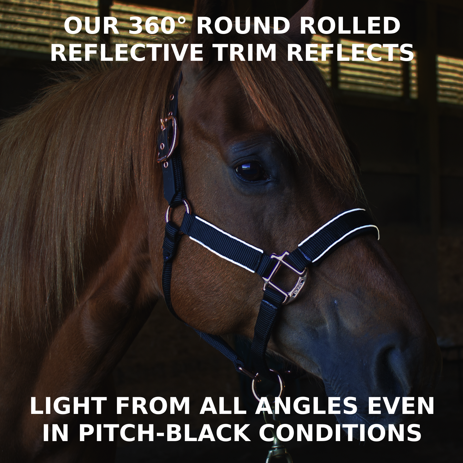 Reflective Safety Stable Horse Halters