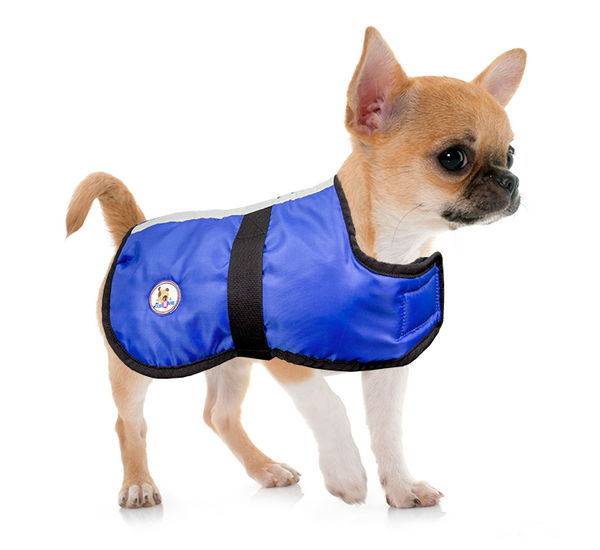 Lightweight Water Repellent Dog Coat Reversible Reflective by cuteNfuzzy