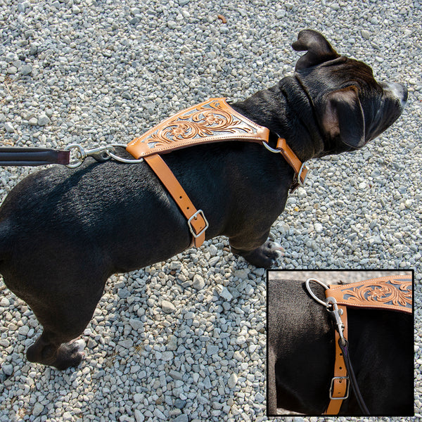 Premium Floral Tooled Gaucho Leather Padded Dog Pulling Harness