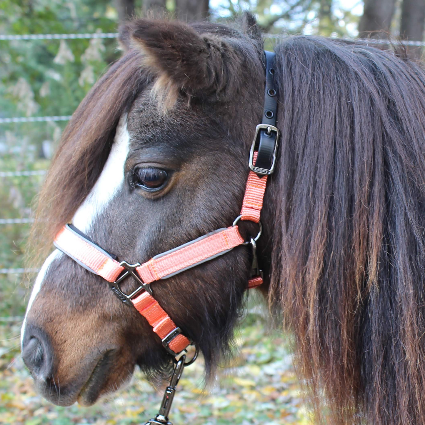 Reflective Safety Stable Horse Halters Orange
