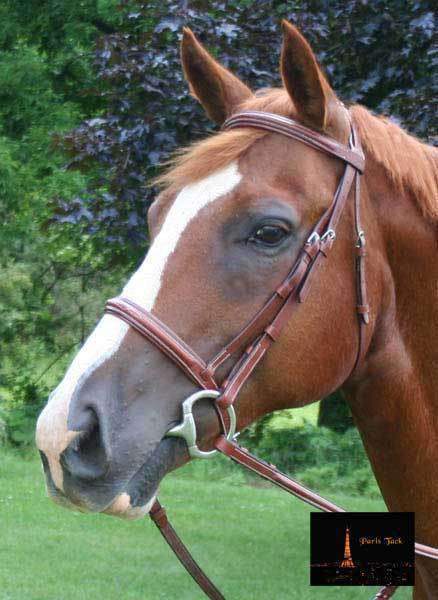Paris Tack Padded Raised Fancy Stitched Leather English Schooling Bridle with Laced Reins Banner