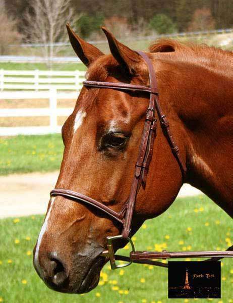 Paris Tack Raised Fancy Stitch Leather English Schooling Bridle