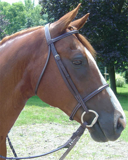 Opulent Series Raised Padded Bridles Paris Tack USA Leather