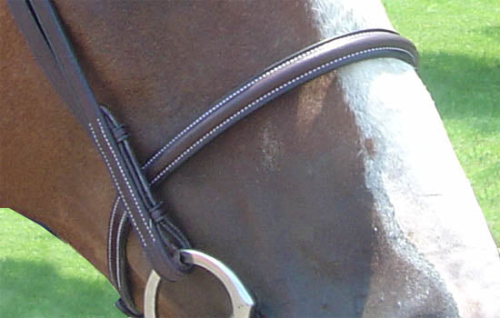 Opulent Series Raised Padded Bridles Paris Tack