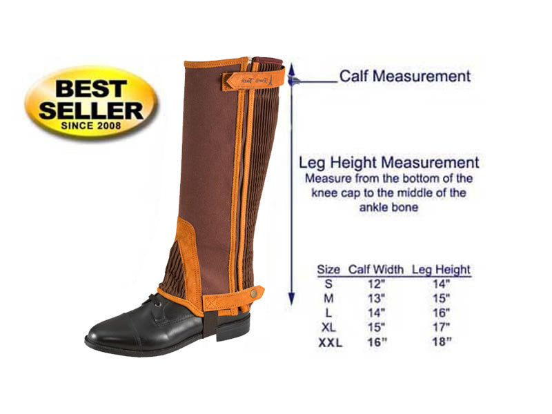 Paris Tack Canvas & Suede Leather Half Chaps dimensions