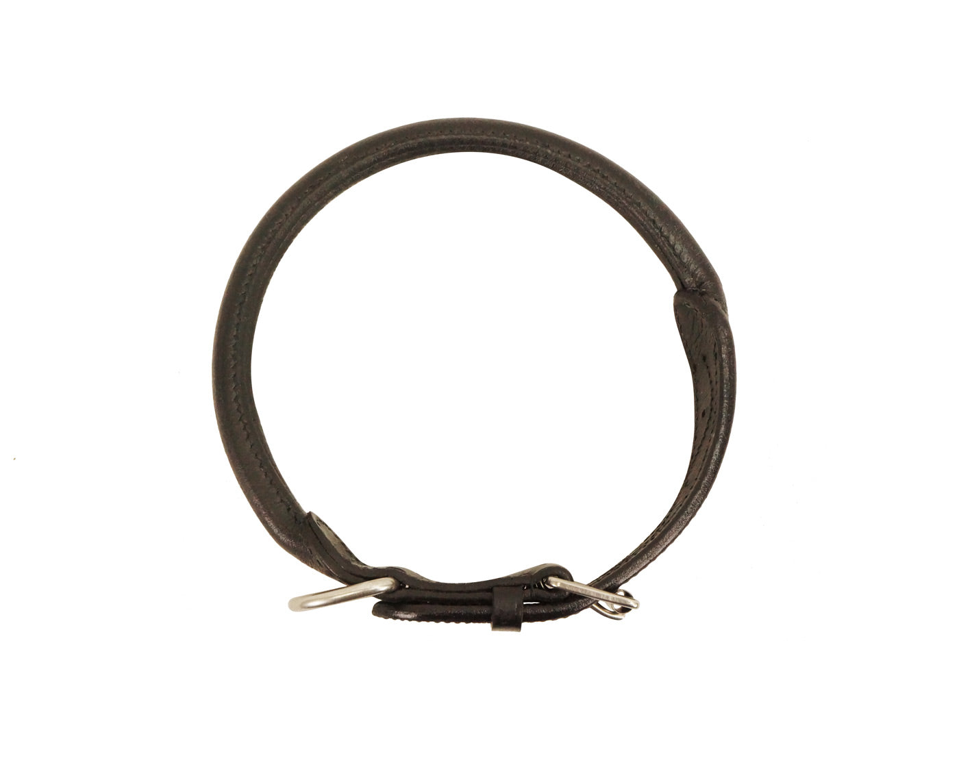 Dog Collar with Stainless Steel Rolled Buckle