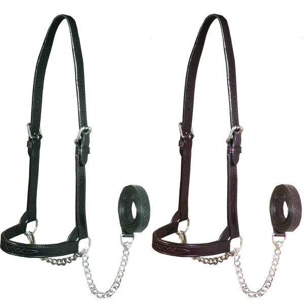 Derby New and Improved Premium Flat Fancy Stitch Leather Cattle Show Halter with Matching Chain Lead - One Year Limited Manufacturer’s Warranty
