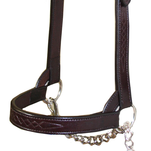 Derby New and Improved Premium Flat Fancy Stitch Leather Cattle Show Halter with Matching Chain Lead - One Year Limited Manufacturer’s Warranty