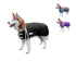 products/Derby_600D_Dog_Blanket_Coat_Waterproof_Black_Collection_80-8125..jpg