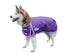 products/Derby_600D_Dog_Blanket_Coat_Waterproof_Purple_Main_80-8125.jpg