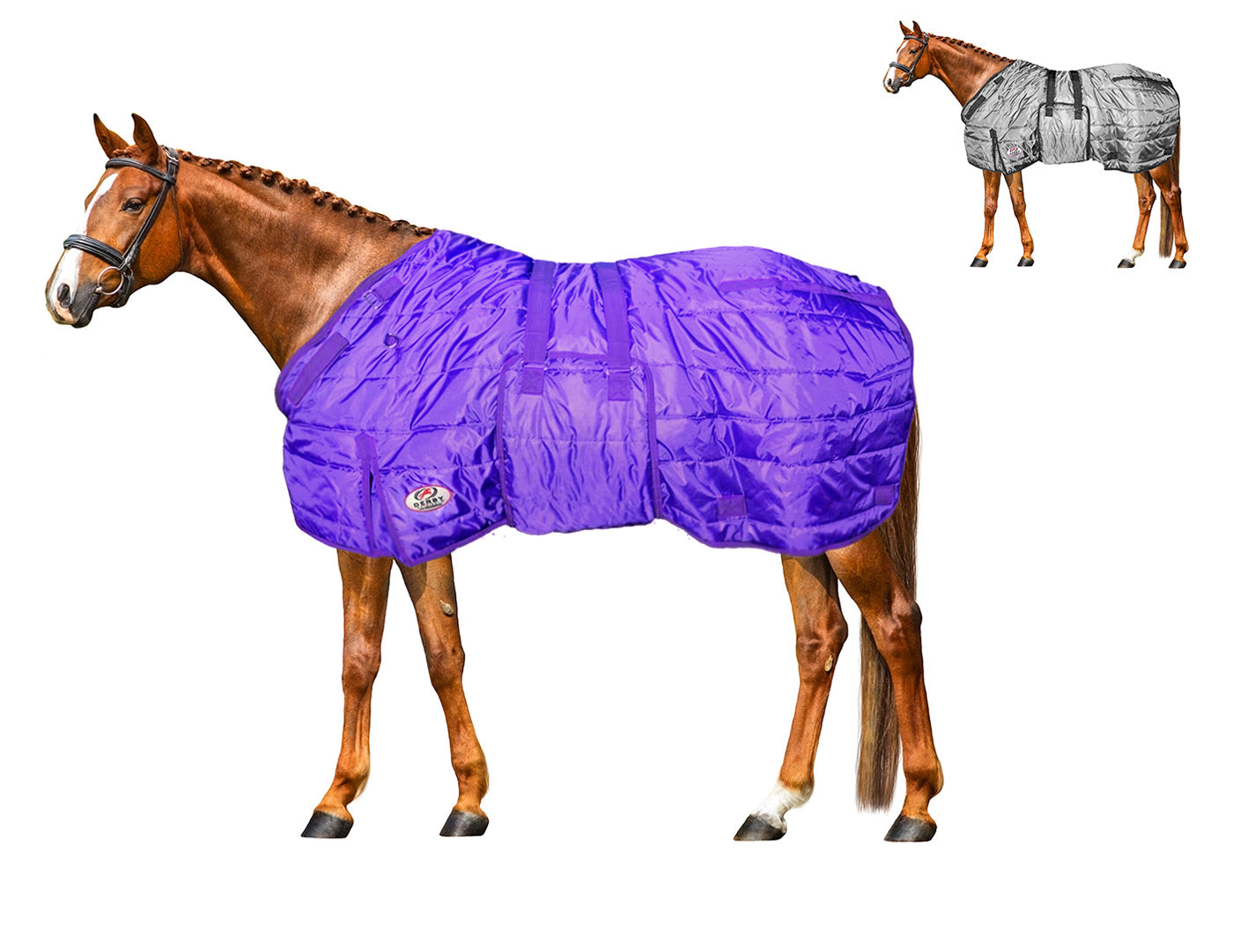 Derby Originals Wind Storm Closed Front Medium Weight Winter Horse Stable Blanket Purple Blanket