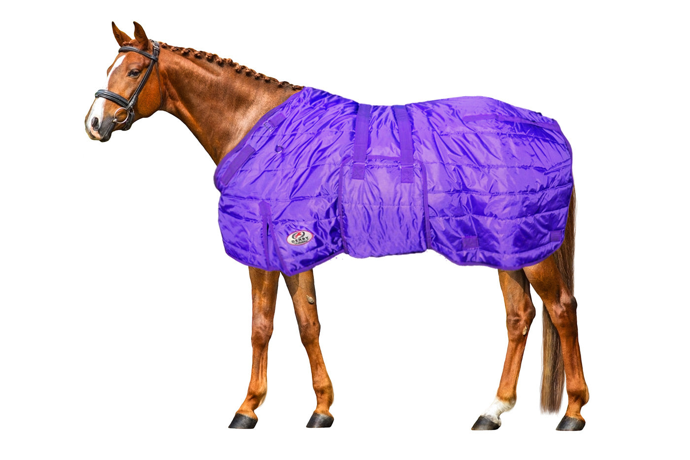 Derby Originals Wind Storm Closed Front Medium Weight Winter Horse Stable Blanket Purple Banner Blanket Image