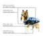 products/Dog-Coat-8056_FullFeatures.jpg