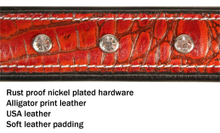 Derby Dog Designer Series USA Leather Padded Alligator With Crystals Dog Collar