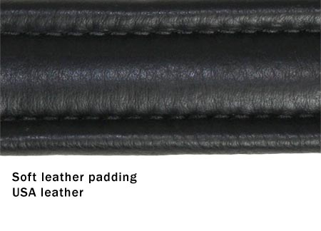 Derby Dog Designer Series USA Leather Padded Dog Collar with Swarovski Crystal Inlay