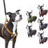 products/Dog_Harness_Step-In_Orange_Swatch_97-7301.jpg