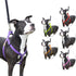 products/Dog_Harness_Step-In_Purple_Swatch_97-7301.jpg