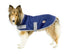 products/Dog_Sweater_Fleece_Lounger_Navy-Dog_Main_80-8071.jpg