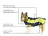 products/Double_Layer_Fleece_Cold_Weather_Adventure_Dog_Dog-Coat_FullFeatures_8065.jpg