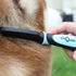 products/Flea_Comb_Pet_Lifestyle_Brush_Dog_Close_Up_99-1001.png