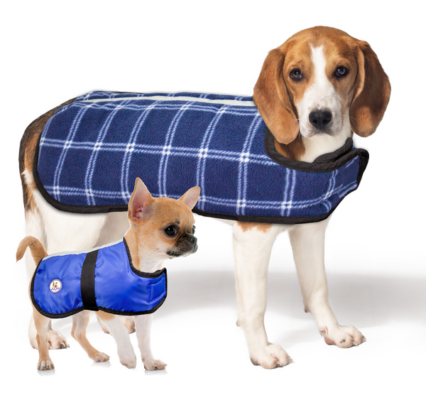 Lightweight Water Repellent Dog Coat Reversible Reflective by cuteNfuzzy
