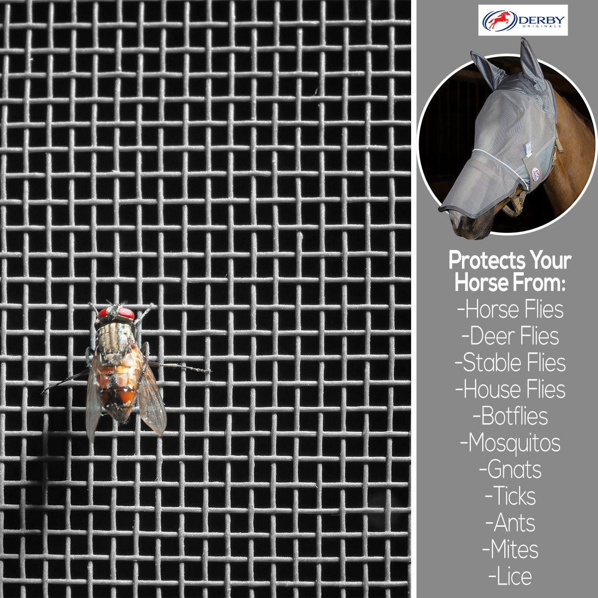 Reflective Horse Fly Mask with Ears and Nose Cover protection