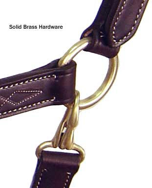American Elite Fancy Stitch Padded Adjustable Halters details
